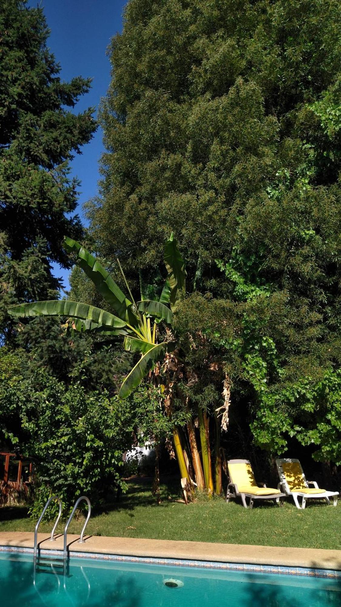 La Casa De Adobe Natural Y Mas Бульнес Экстерьер фото
